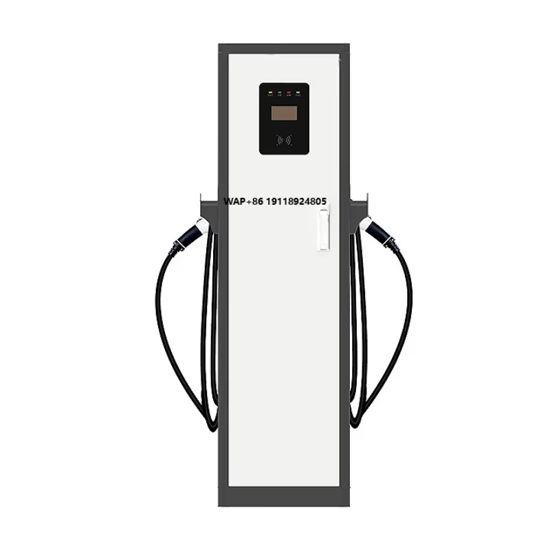 22kW*2 GB/T Type1/Type2 Dubbel - Type 2 Charger recensie en prijs